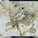 Alaska White Granite