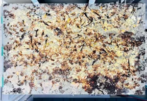 splendor-white-granite-slab