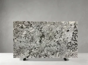branco splendor granite slab white black mineral detail for interiors