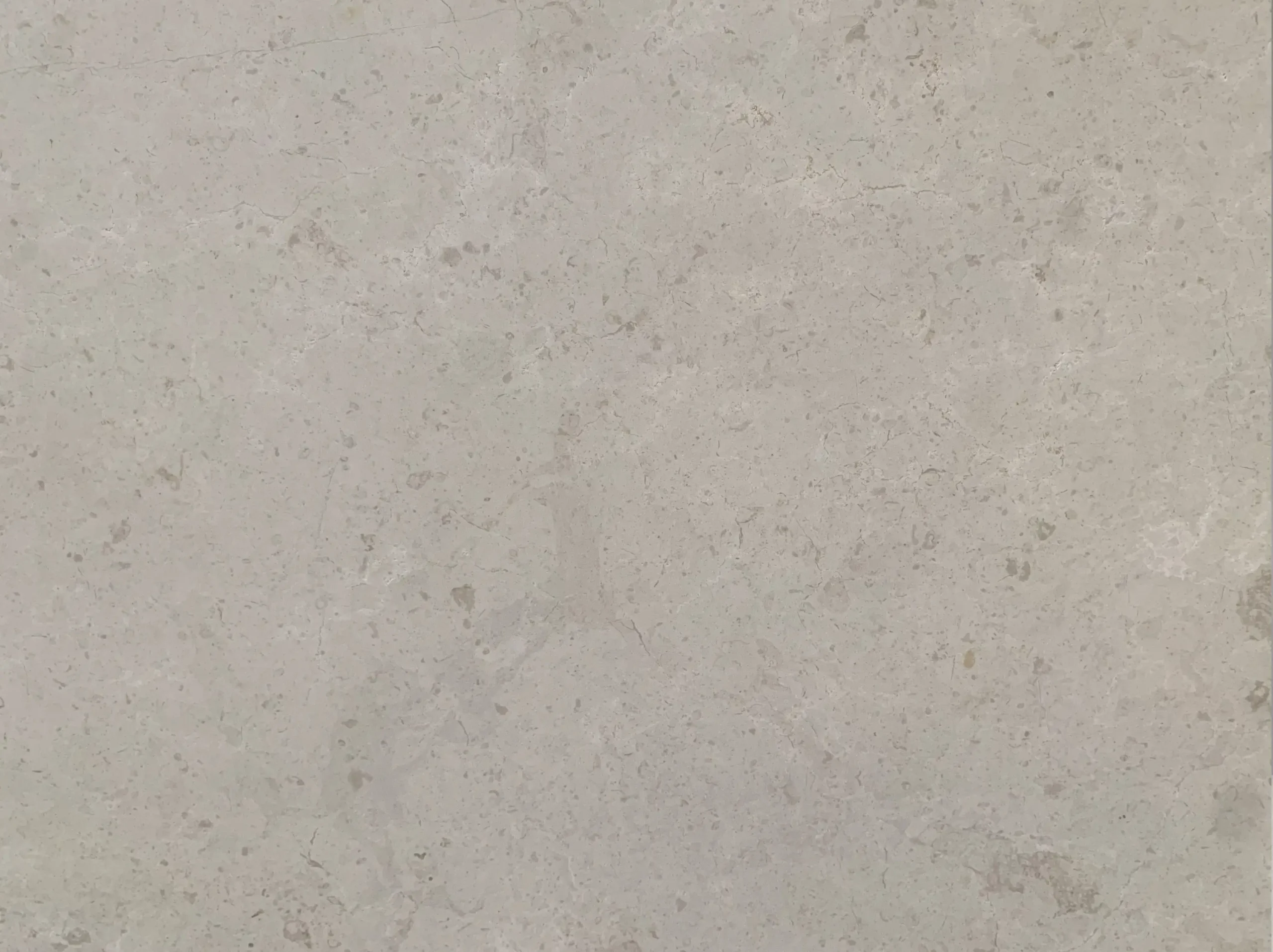 european-beige-limestone-close-up-detail-03.webp european beige limestone close up detail