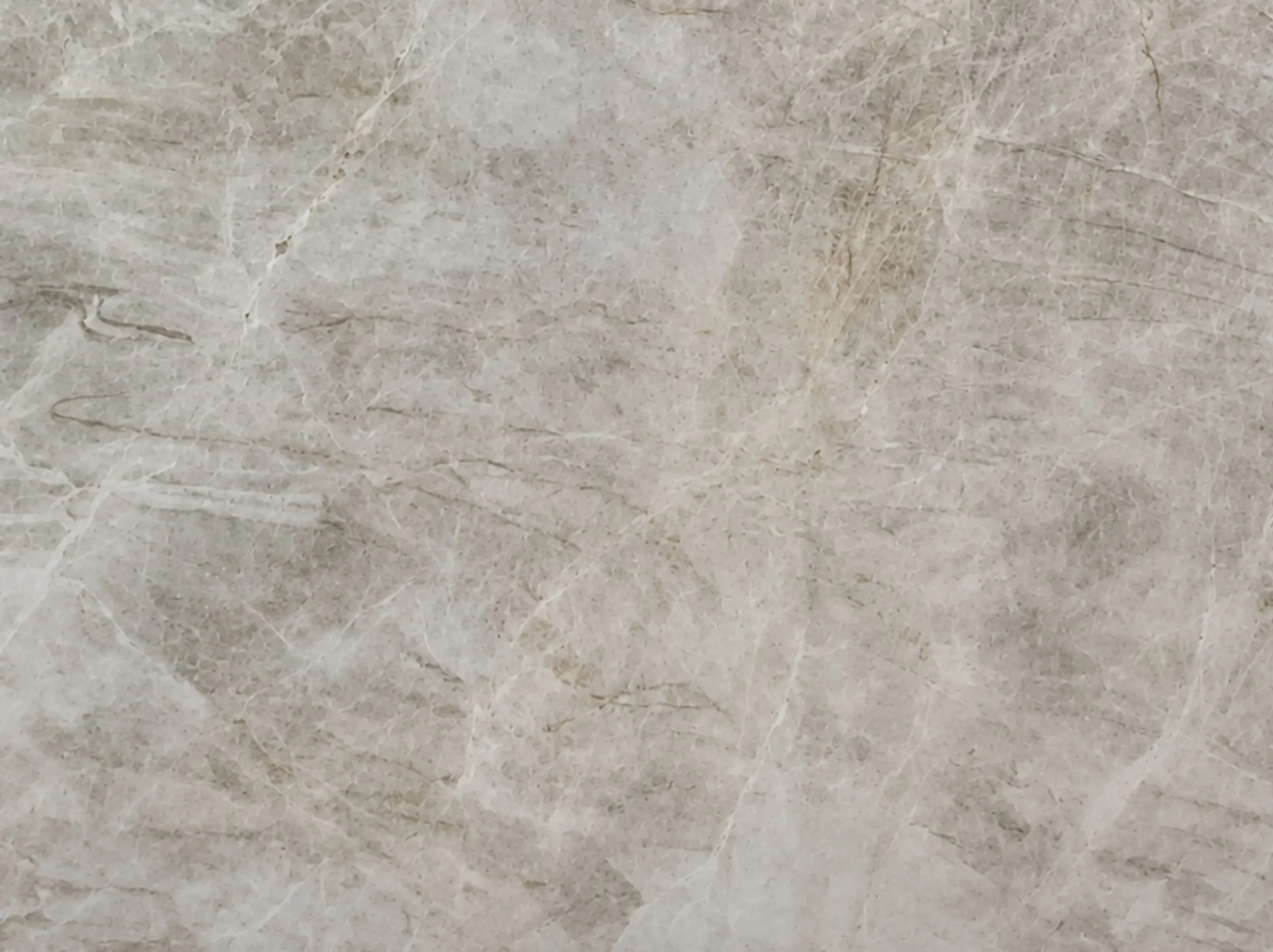 Taj Mahal Quartzite Surface Texture and Veining Close-up of Taj Mahal Quartzite surface texture with cream background and soft natural veining