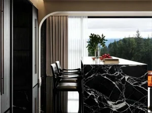black petit antique marble island top for modern interior with bold black white veining