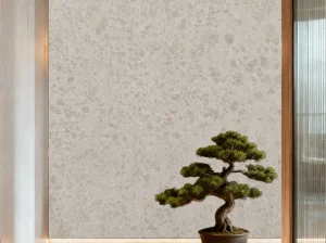 jura gelb limestone feature wall with warm beige fossil texture and bonsai decor