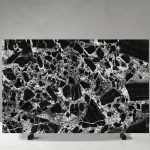 Nepoleon Black Marble