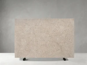 White Rose Marble slab with dense fossil-like texture and pale beige details