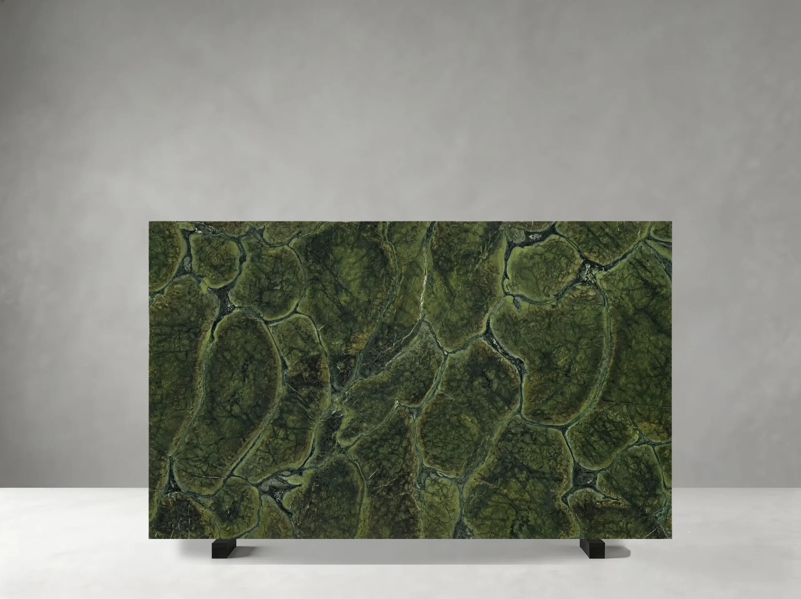 Vitoria Regia Green Quartzite polished slab 02 showing organic mosaic-like cells with layered natural contours