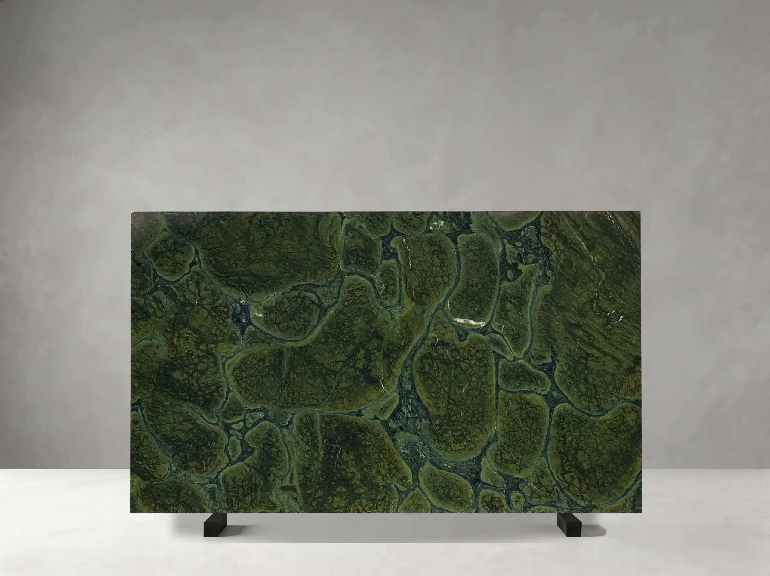 Vitoria Regia Quartzite polished slab 01 showing large cellular forms with concentric botanical movement