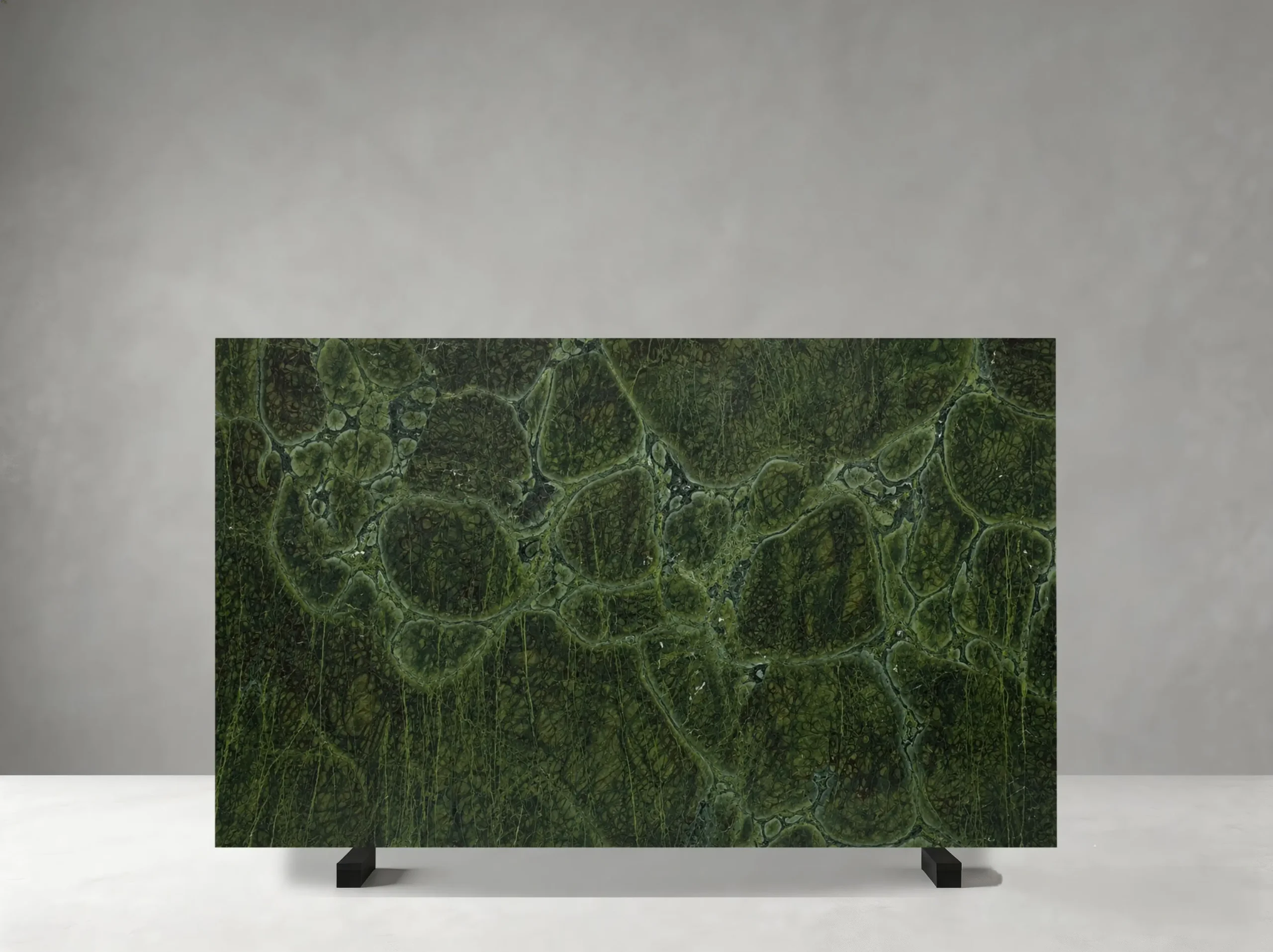 Vitoria Regia Quartzite polished slab 02 showing large cellular forms with concentric botanical movement